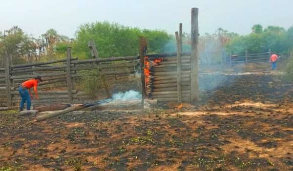 Incendios ocasionan cuantiosas pérdidas a ganaderos del Chaco - Economía - ABC Color