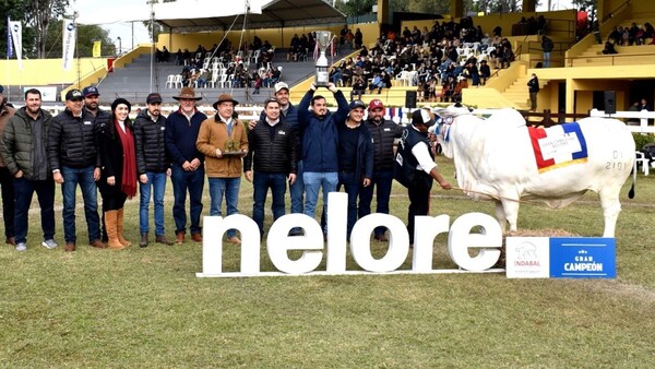 Vaca del diputado Lalo Gomes es la más cara del país
