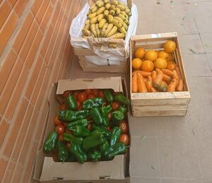 MDS reporta que fue subsanado el caso de alimentos en malas condiciones, distribuidos en una escuela del Chaco - .::Agencia IP::.
