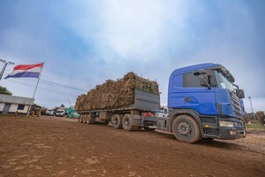 Zafra cañera beneficia a unas 30.000 familias e inyectará US$ 15 millones a los departamentos de Guairá y Caaguazú - .::Agencia IP::.