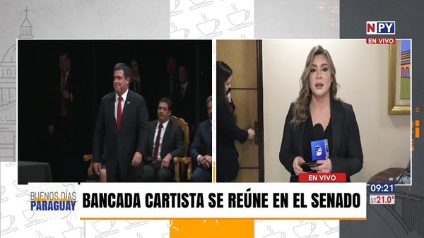 Caso Tabesa: Cartismo alega "soberanía" y pedirán explicaciones al embajador Ostfield - Noticias Paraguay