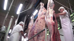 En julio el faenamiento de bovinos superó los 1,2 millones de cabezas