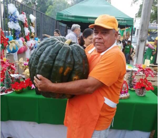 Ahorrar y comer sano: “Feria de la agricultura campesina” estará en la Costanera de Asunción - Nacionales - ABC Color