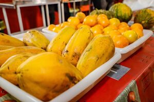 Empresas adjudicadas en Hambre Cero son responsables del almacenamiento adecuado de los insumos, aclara ministro - .::Agencia IP::.