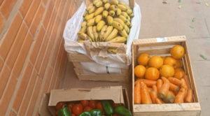 MDS reporta que el problema de insumos alimenticios en una escuela del Chaco ha sido subsanado