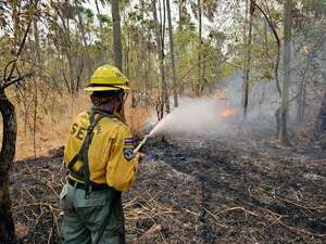 Identifican zonas donde se habrían originado incendios en Fuerte Olimpo - Nacionales - ABC Color