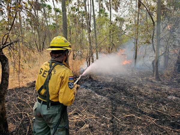 Identifican zonas donde se habrían originado incendios en Fuerte Olimpo - Nacionales - ABC Color