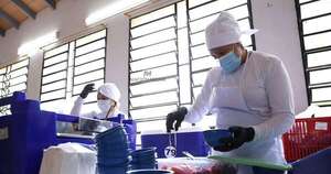 La Nación / Hambre Cero: bananeros piden intensificar medidas de control para garantizar seguridad alimentaria