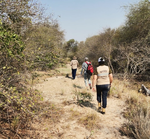 MADES impulsa iniciativa para la conservación del Palo Santo en el Chaco paraguayo