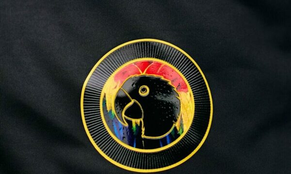 ¡Por una excelente causa! Guaraní lanza una llamativa camiseta de edición especial