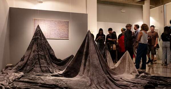 Diario HOY | Foro sobre América Latina y práctica curatorial en Pinta Sud Asu