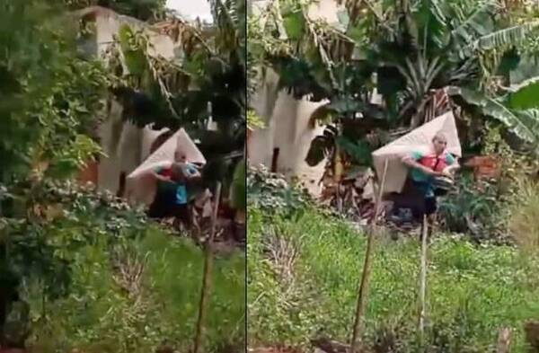 [VIDEO] "Avísenle a la señora, le están robando ya otra vez su tele"