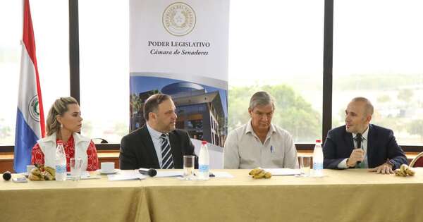 La Nación / Senadores acordaron posibles colaboraciones con Diego Moreno