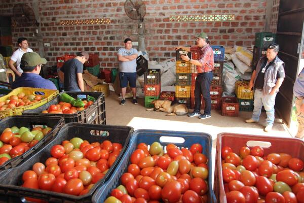 Fortalecimiento de la producción nacional a través del monitoreo del sistema de trazabilidad vegetal