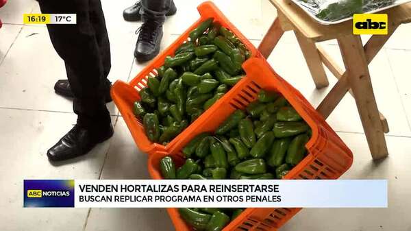 Penal de Tacumbú: proyecto de reinserción permite venta de hortalizas - ABC Noticias - ABC Color
