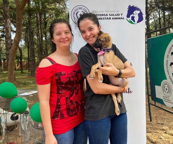 Exitosa jornada de la Dirección de Bienestar Animal: Cerca de 50 mascotas fueron esterilizadas gratuitamente - .::Agencia IP::.