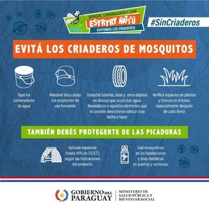 Aumentan casos de dengue a nivel país en las últimas tres semanas - .::Agencia IP::.