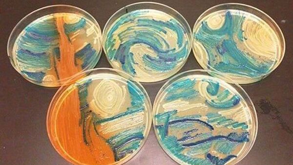 El arte reduce la xenofobia y fomenta la empatía hacia los inmigrantes, según un estudio