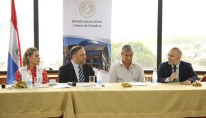Senadores acuerdan ejecutar proyectos con el juez paraguayo ante la Corte Interamericana de Derechos Humanos - ADN Digital