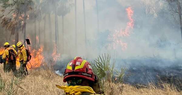 La Nación / Con tecnología Infona y Mades trabajan para identificar origen de incendios en el Chaco