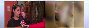 Denuncia que su vecino envenenó a sus gatos - SNT