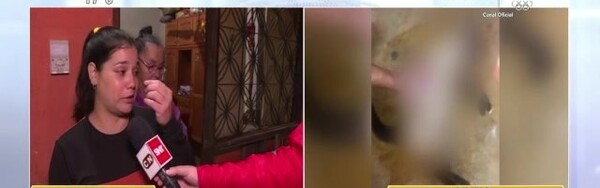 Denuncia que su vecino envenenó a sus gatos - SNT