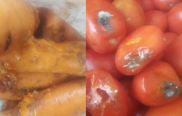 “Hambre Cero”: HC da comida podrida y otra vez se burla con declaración - Política - ABC Color
