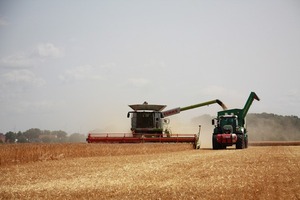 Mismos cultivos, diferentes resultados: ¿Cuál es la rentabilidad de la producción agrícola en Paraguay y Brasil? - MarketData