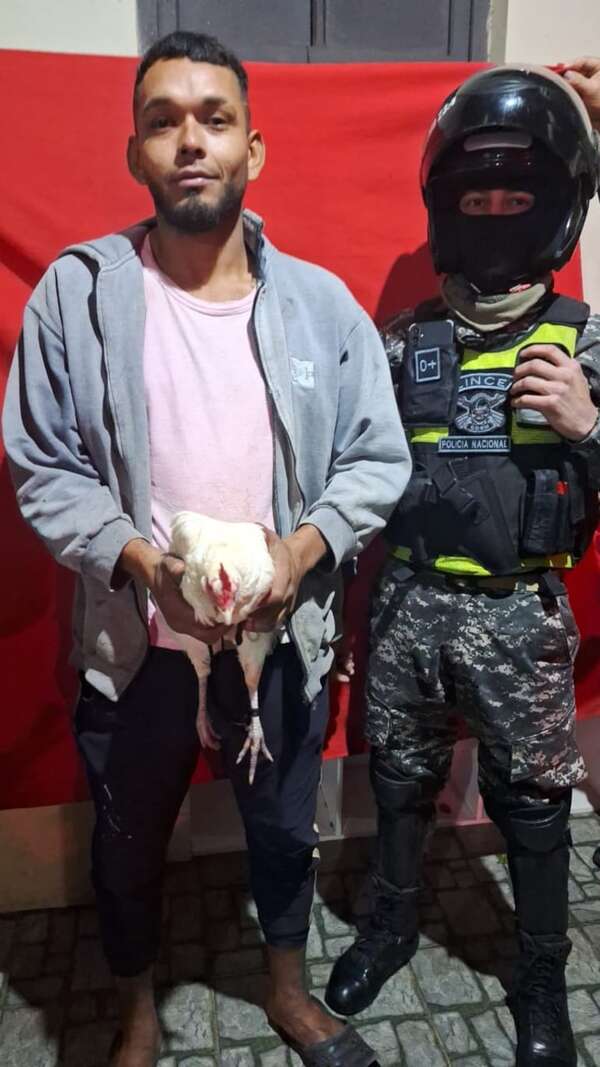 Detienen a un sospechoso de hurto y su “botín” era una gallina - Policiales - ABC Color