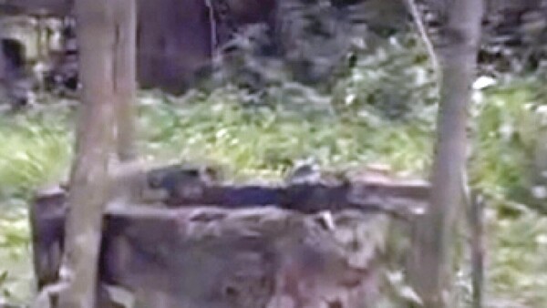 Mujer hallada en pozo tenía una piedra atada por el cuello