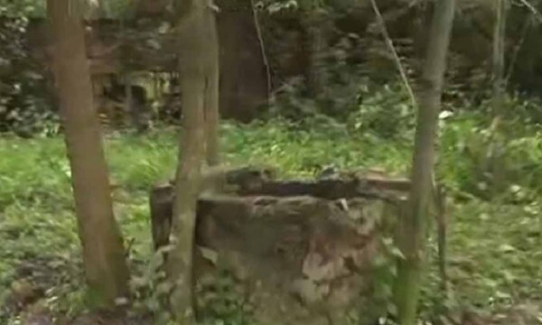 Mujer hallada en pozo tenía una piedra atada por el cuello – Prensa 5