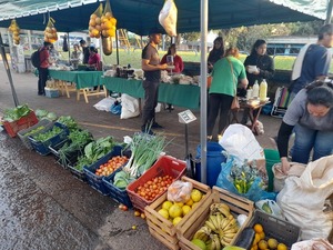 Productores agroecológicos de San Pedro y Nueva Alborada buscan protección legal