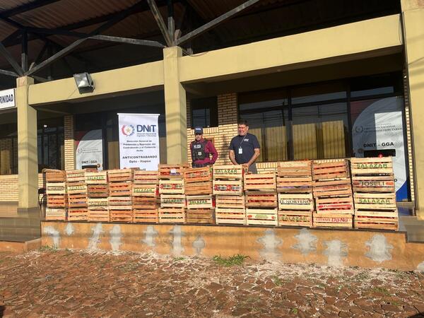 Incautan 1000 kilos de tomate ingresados presuntamente de contrabando