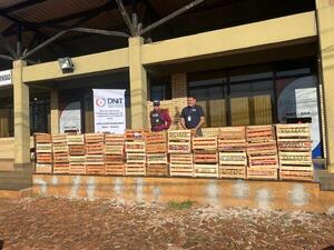 INCAUTARON UNA TONELADA DE TOMATE DE CONTRABANDO EN ITAPÚA - Itapúa Noticias