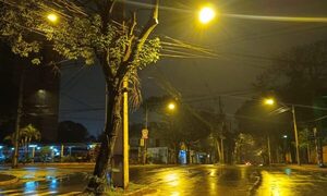 ANDE repara alumbrados en Presidente Franco y Ciudad del Este
