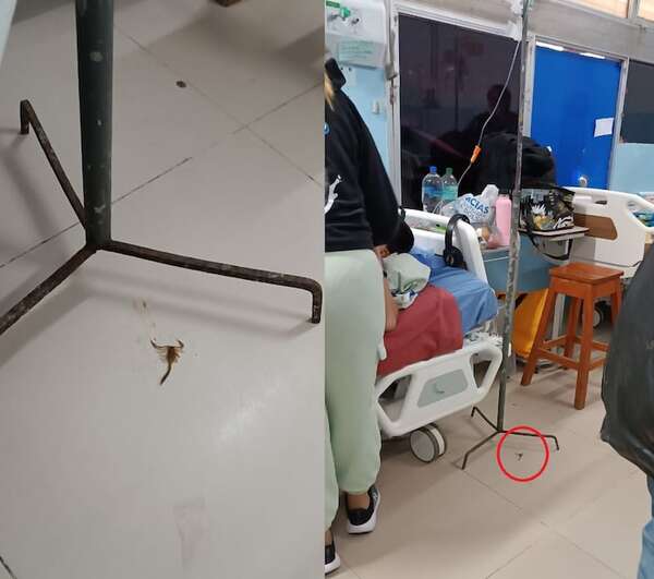 Desidia, moho y hasta alacranes en el Hospital Central del IPS - Nacionales - ABC Color