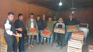 Tras denuncias y manifestaciones, tomateros logran vender sus productos - Nacionales - ABC Color