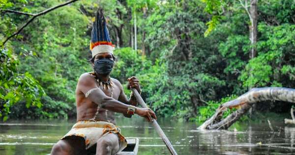 La Nación / Día de los Pueblos Indígenas: alrededor de 200 grupos viven en aislamiento voluntario
