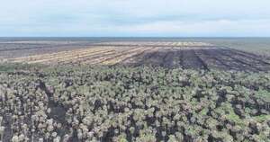 Diario HOY | Interviene propiedad donde habría iniciado el fuego que provocó incendios en Alto Paraguay