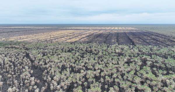 Diario HOY | Interviene propiedad donde habría iniciado el fuego que provocó incendios en Alto Paraguay