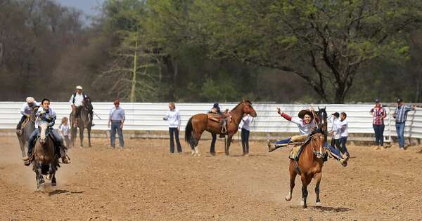 La Nación / Los más chicos también tendrán pruebas en competencia de caballos criollos