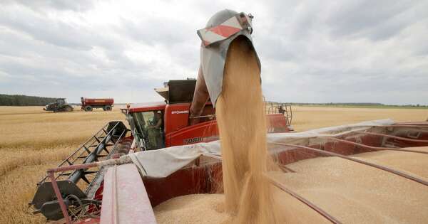 La Nación / Advierten sobre volatilidad en precios de los principales commodities agrícolas