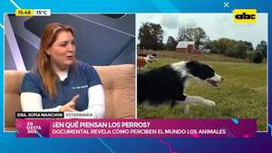 ¿En qué piensan los perros?: documental revela cómo estos animales perciben el mundo  - Ensiestados - ABC Color