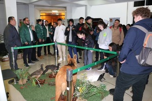 Yacyretá participa en Congreso sobre investigación e innovación, en Itapúa