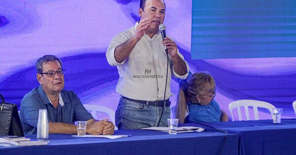 La Nación / Para Fleitas, no fue válida convocatoria del Directorio a convención