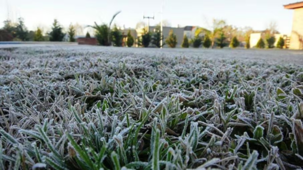 Anuncian potenciales heladas agronómicas para Itapúa, Caazapá y Canindeyú