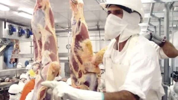 Temen que el sarambí con EE.UU. afecte a la exportación de carne