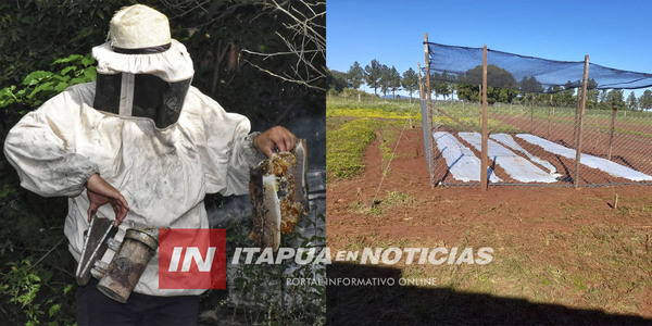 ÉXITO EN PROYECTOS PRODUCTIVOS DE LA GOBERNACIÓN DE ITAPÚA - Itapúa Noticias
