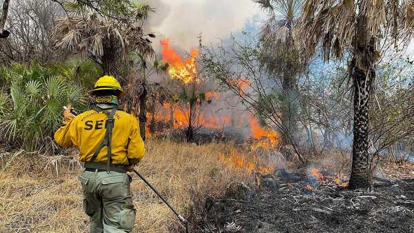 CON TECNOLOGÍA INFONA Y MADES TRABAJAN PARA IDENTIFICAR ORIGEN DE INCENDIOS EN EL CHACO - Itapúa Noticias
