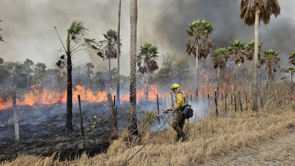 Aunque escasa, la lluvia aplacó incendios